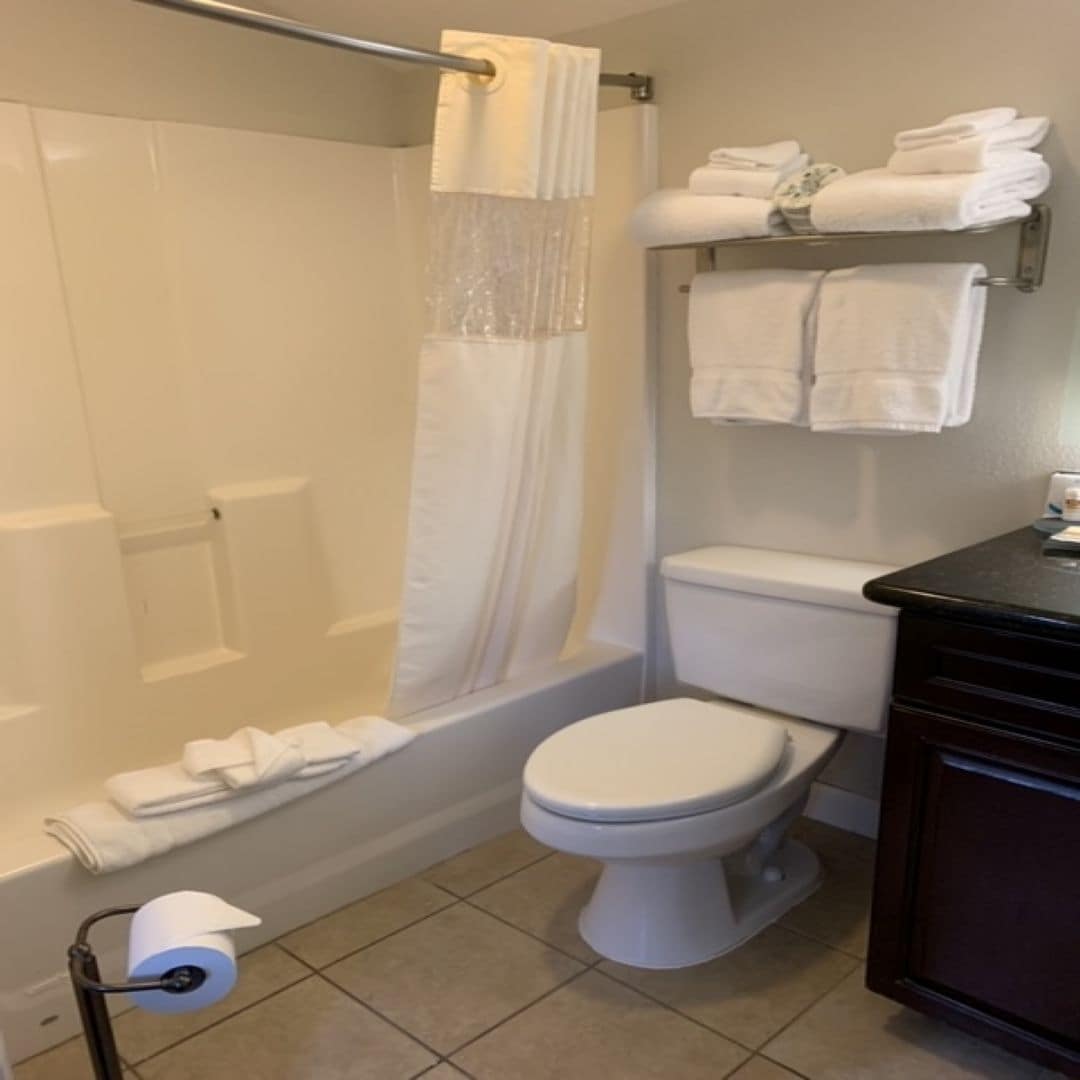 combined shower/bathtub, free toiletries, hair dryer, towels