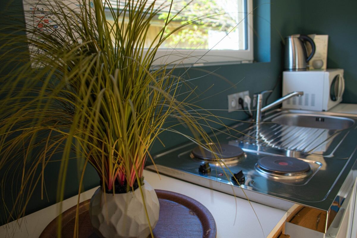 A kitchen with a microwave, sink, and a plant in a vase.