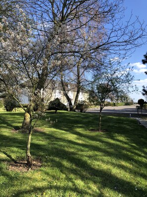 Uma área gramada com árvores e um edifício ao fundo.