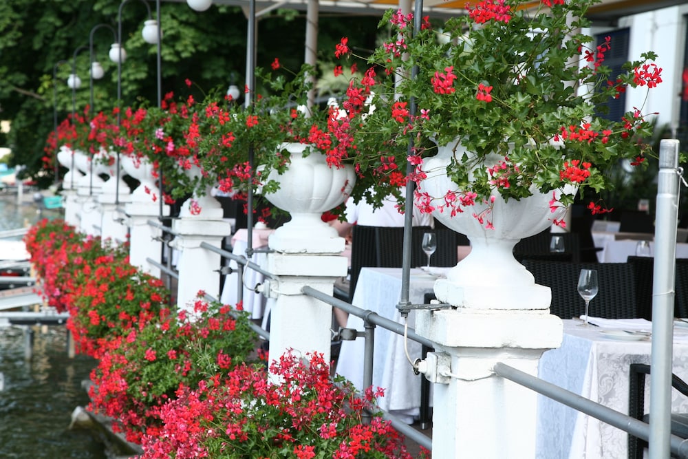 Hotel Lido Seegarten by null