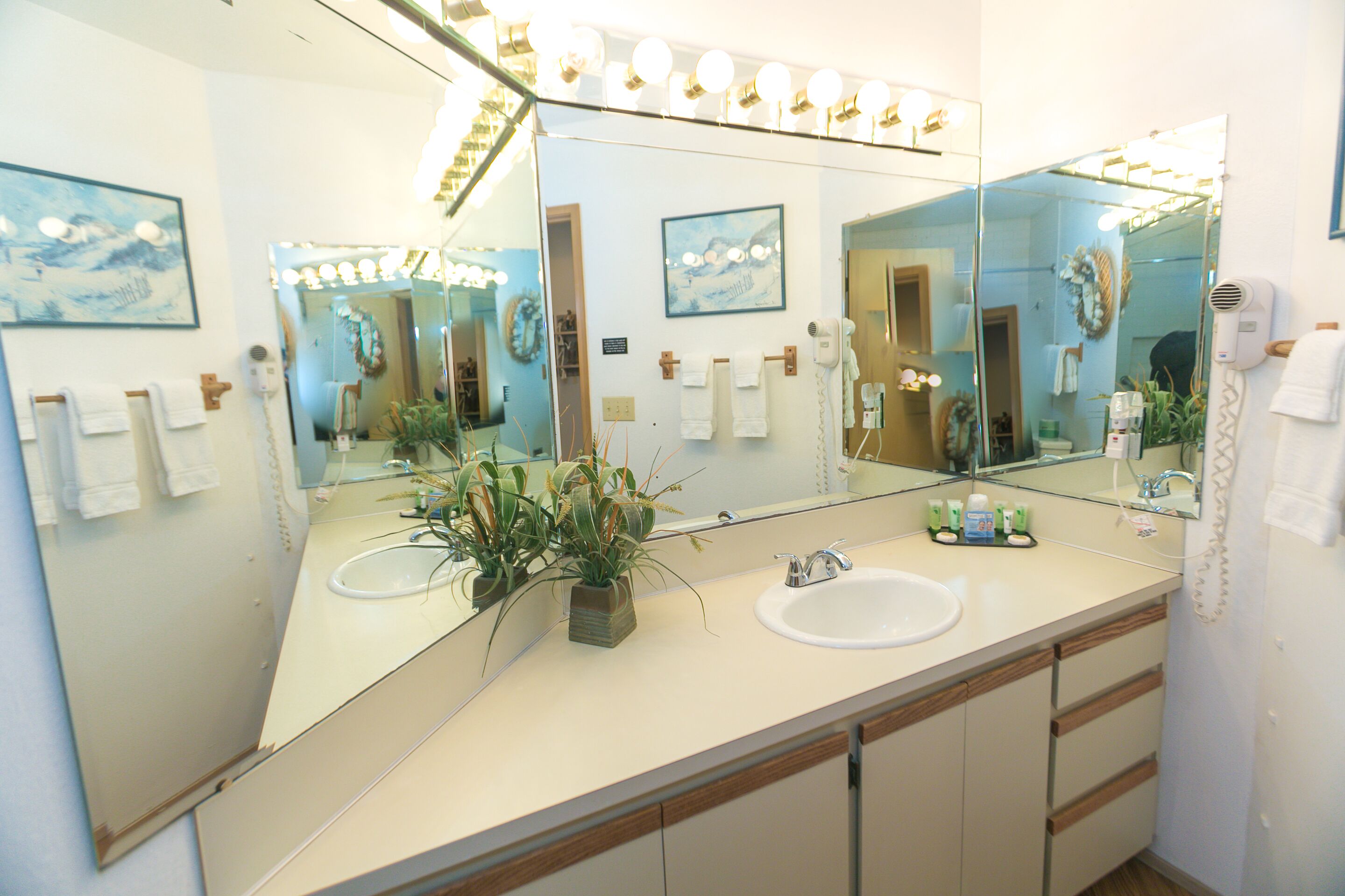 A bathroom with a large mirror, two sinks, a hairdryer, and a potted plant.