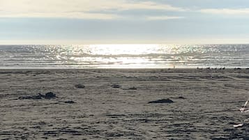 On the beach