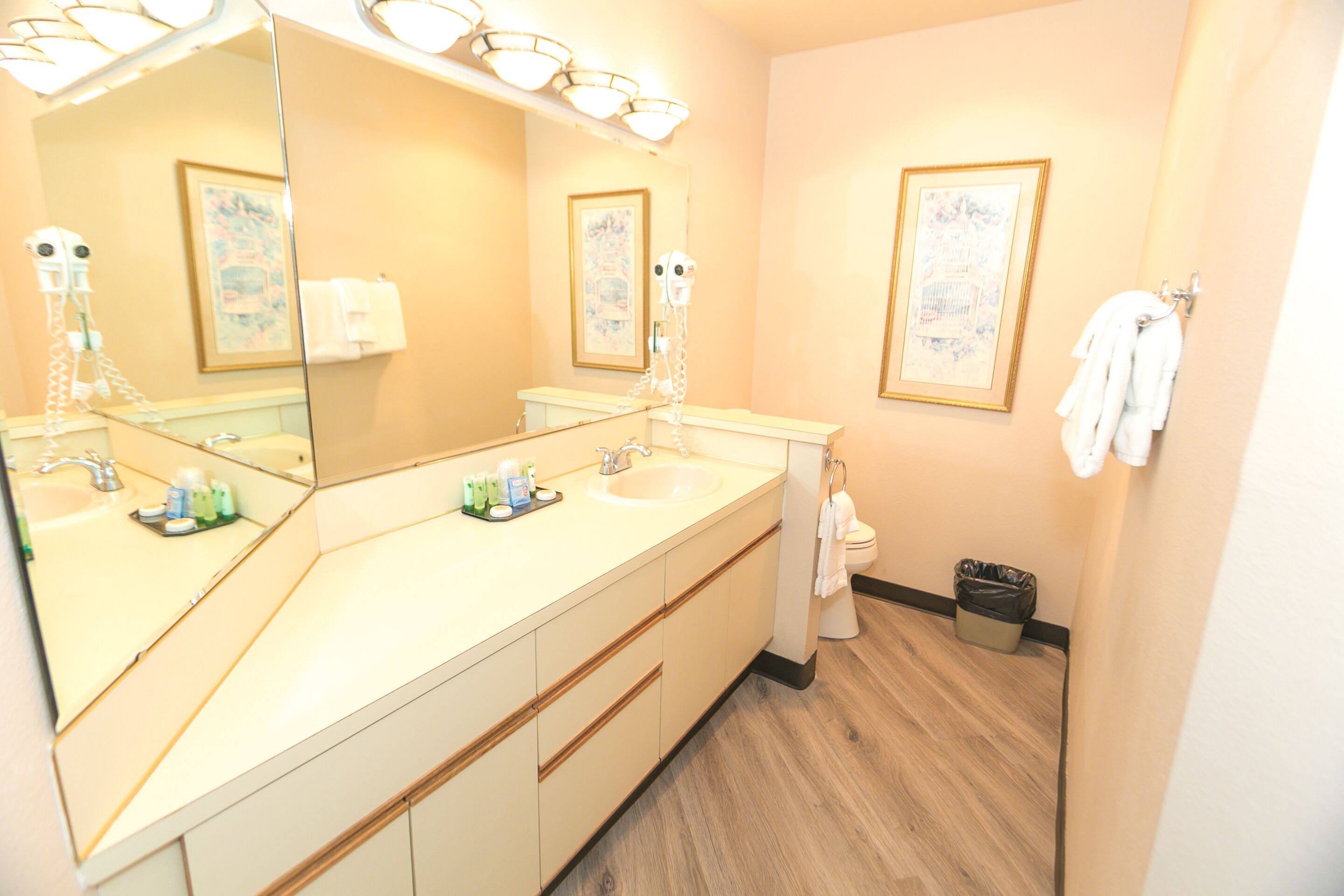 A bathroom with a double sink, a large mirror, and framed artwork on the walls.