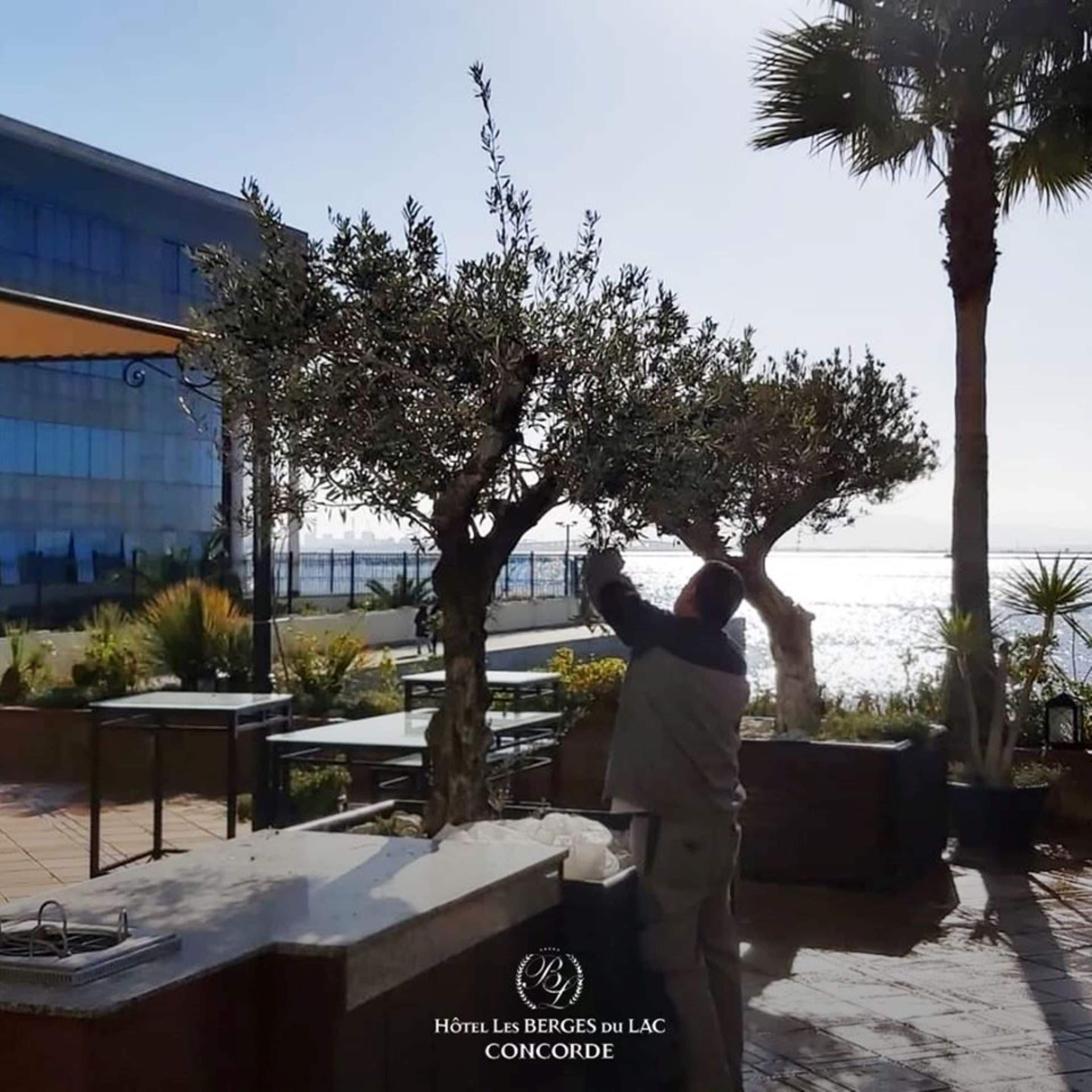 Foto - Concorde Les Berges du Lac