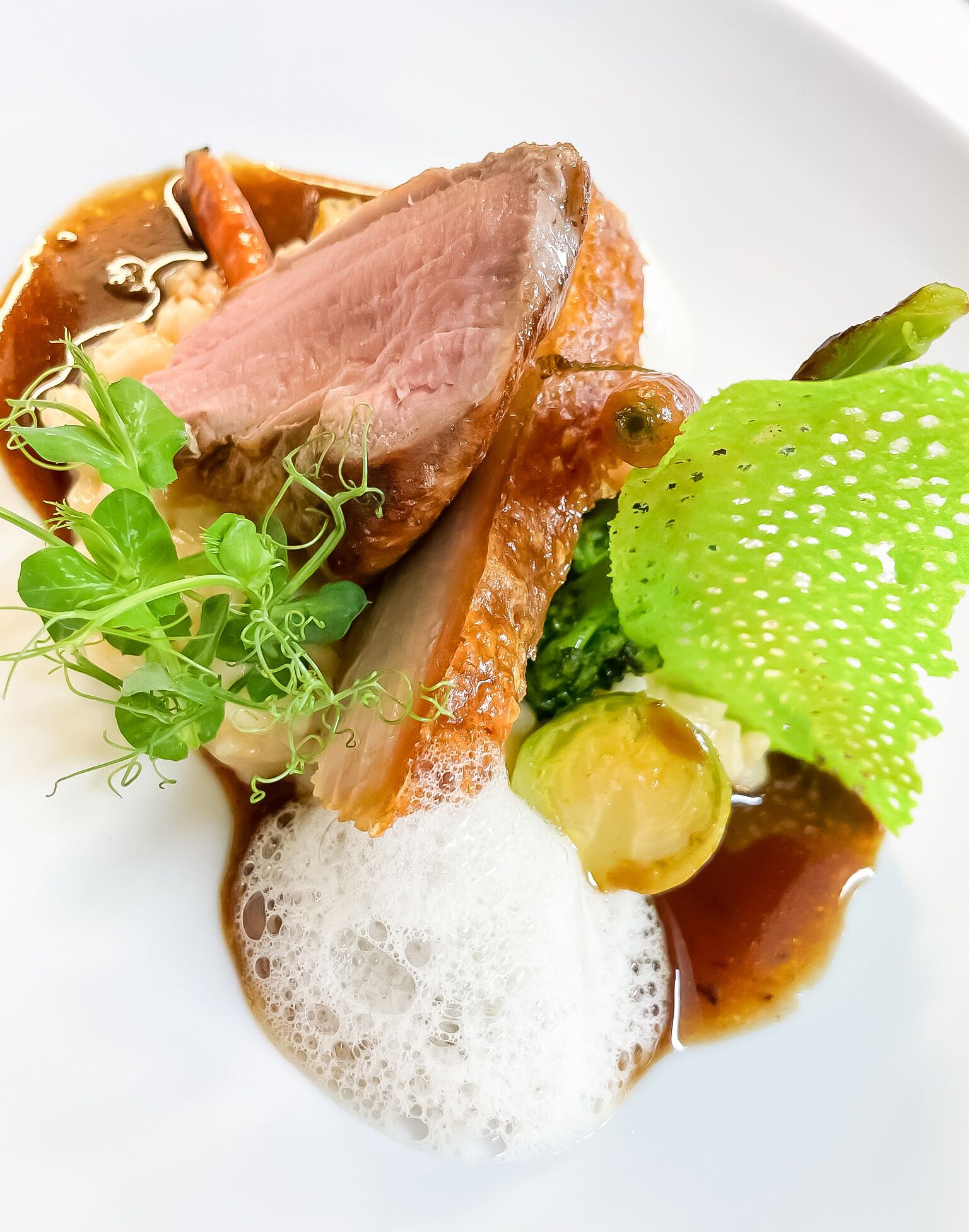 A plate with sliced meat, vegetables, and a frothy liquid.