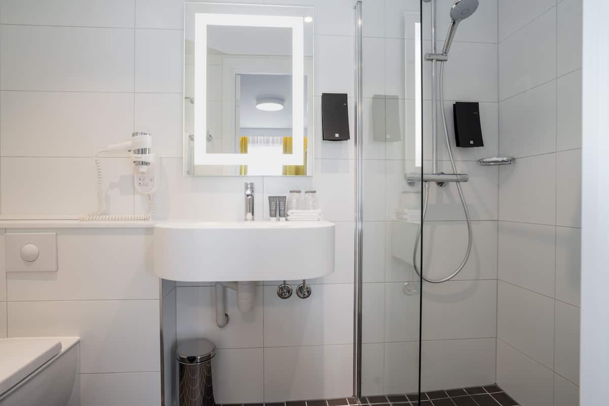 shower, free toiletries, hair dryer, towels