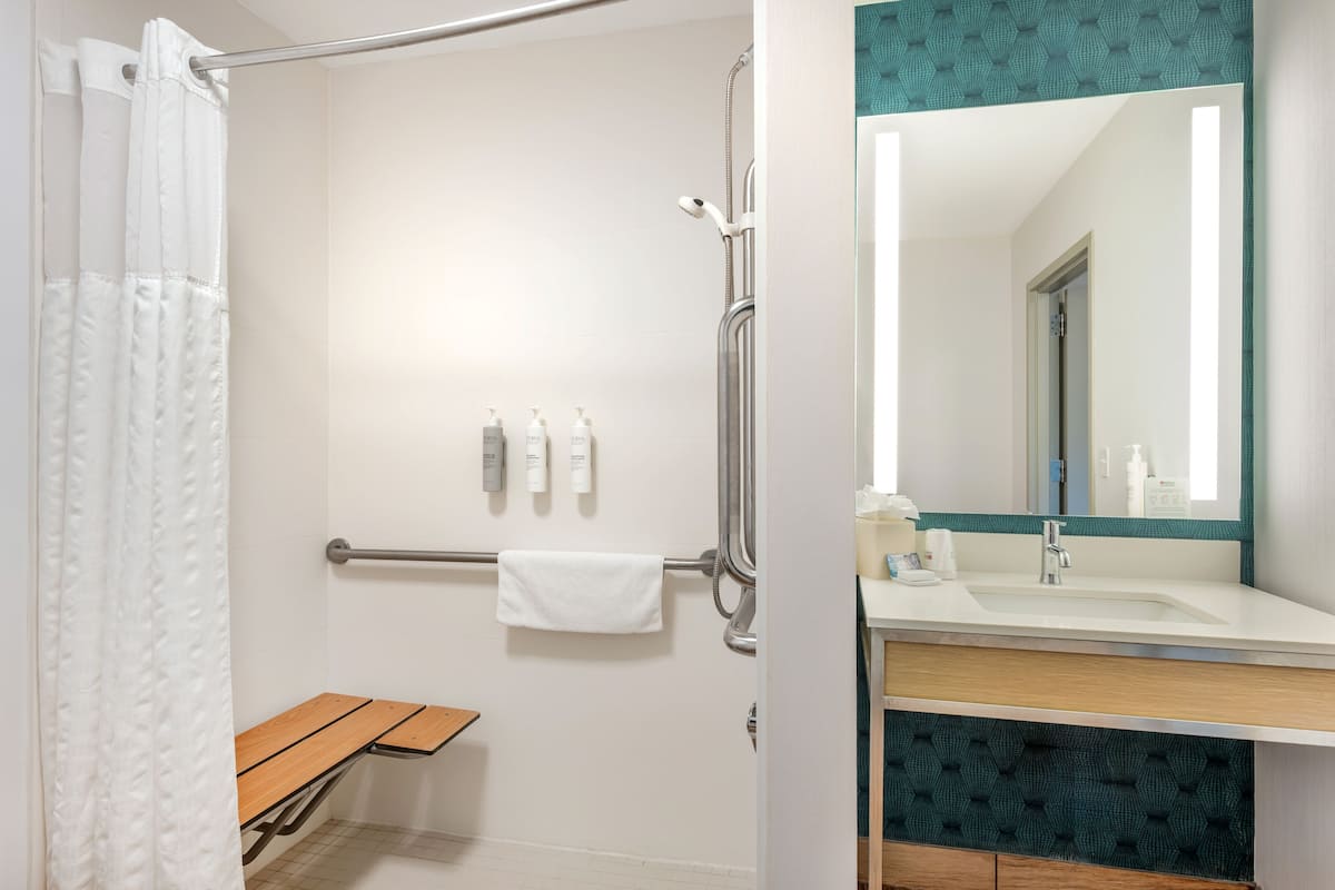 room, 1 king bed, accessible (mobility, roll-in shower) | bathroom | combined shower/bathtub, free toiletries, hair dryer, towels