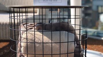 A metal cage with a label reading "ENJOY THE VIEW" and a cushion inside.