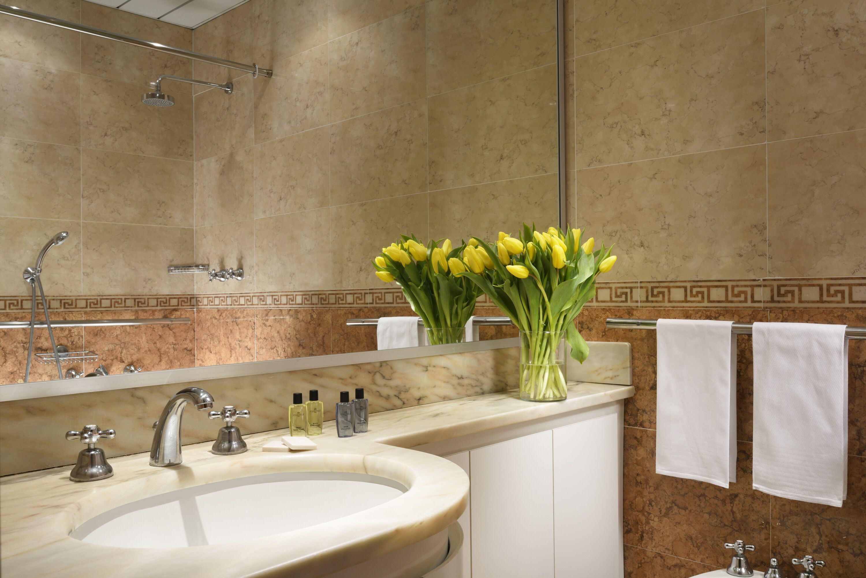 Duschwanne, Regendusche, kostenlose Toilettenartikel, Haartrockner