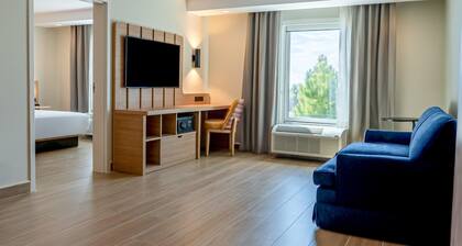 Hampton Inn by Hilton Torreon-Airport Galerias