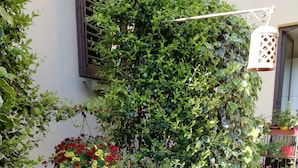 A garden with various potted plants and flowers, including marigolds and red flowers, against a building wall. - Hotel Cimabue (Florence)