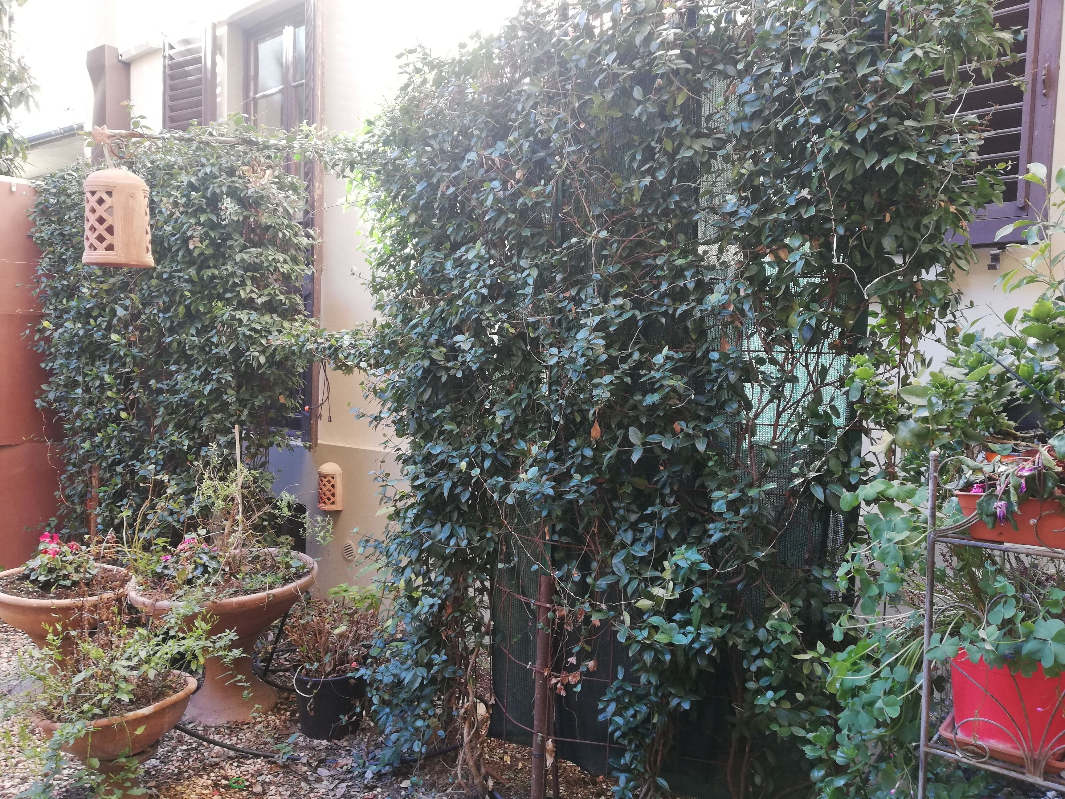 Photo - Hotel Cimabue