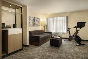 Flat-screen TV, iPod dock - SpringHill Suites by Marriott Fort Worth University (Fort Worth)