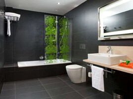 Eco-friendly toiletries, hair dryer, towels