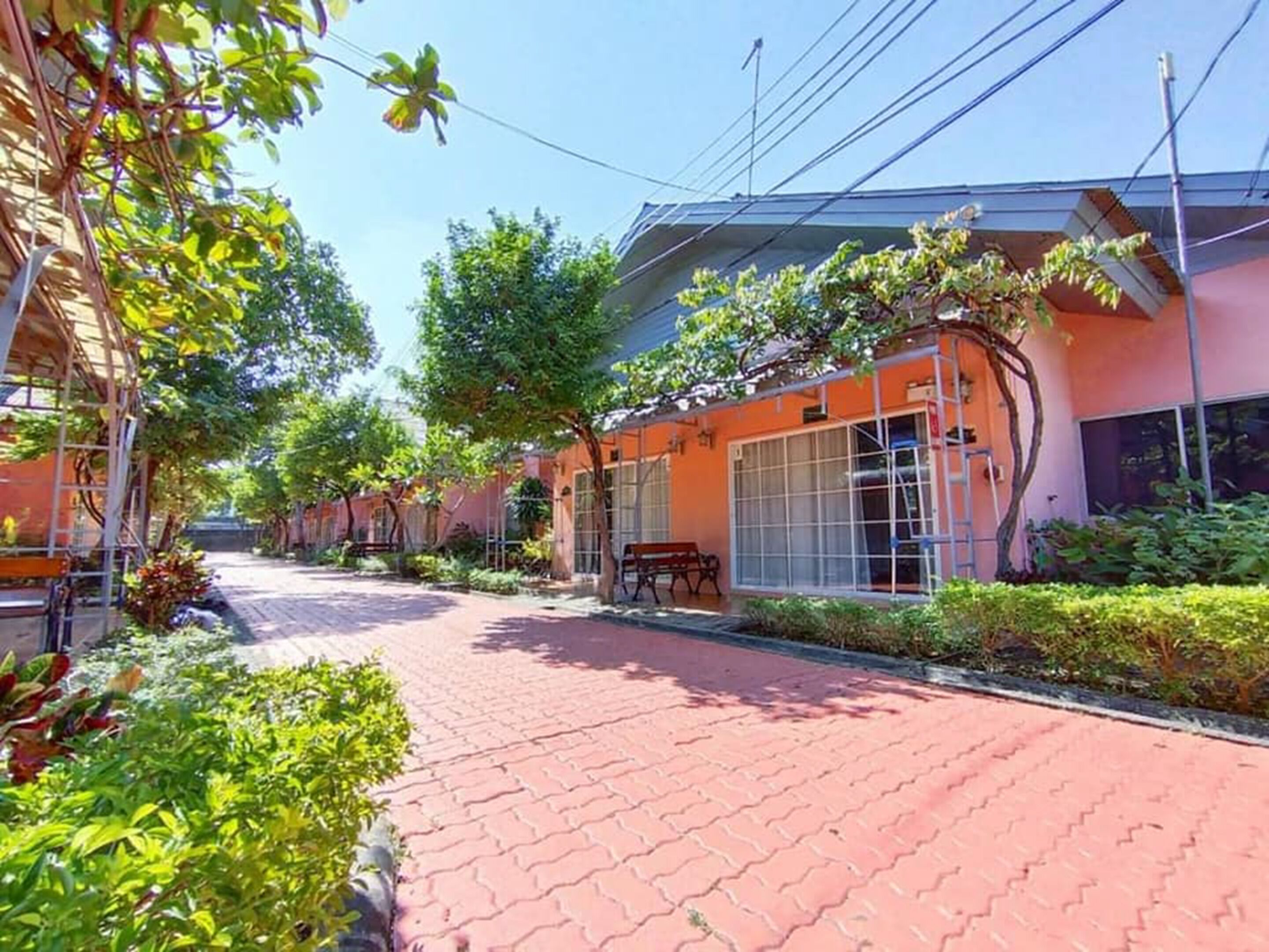 Un sendero que conduce a un edificio de fachada roja, rodeado de follaje y árboles.