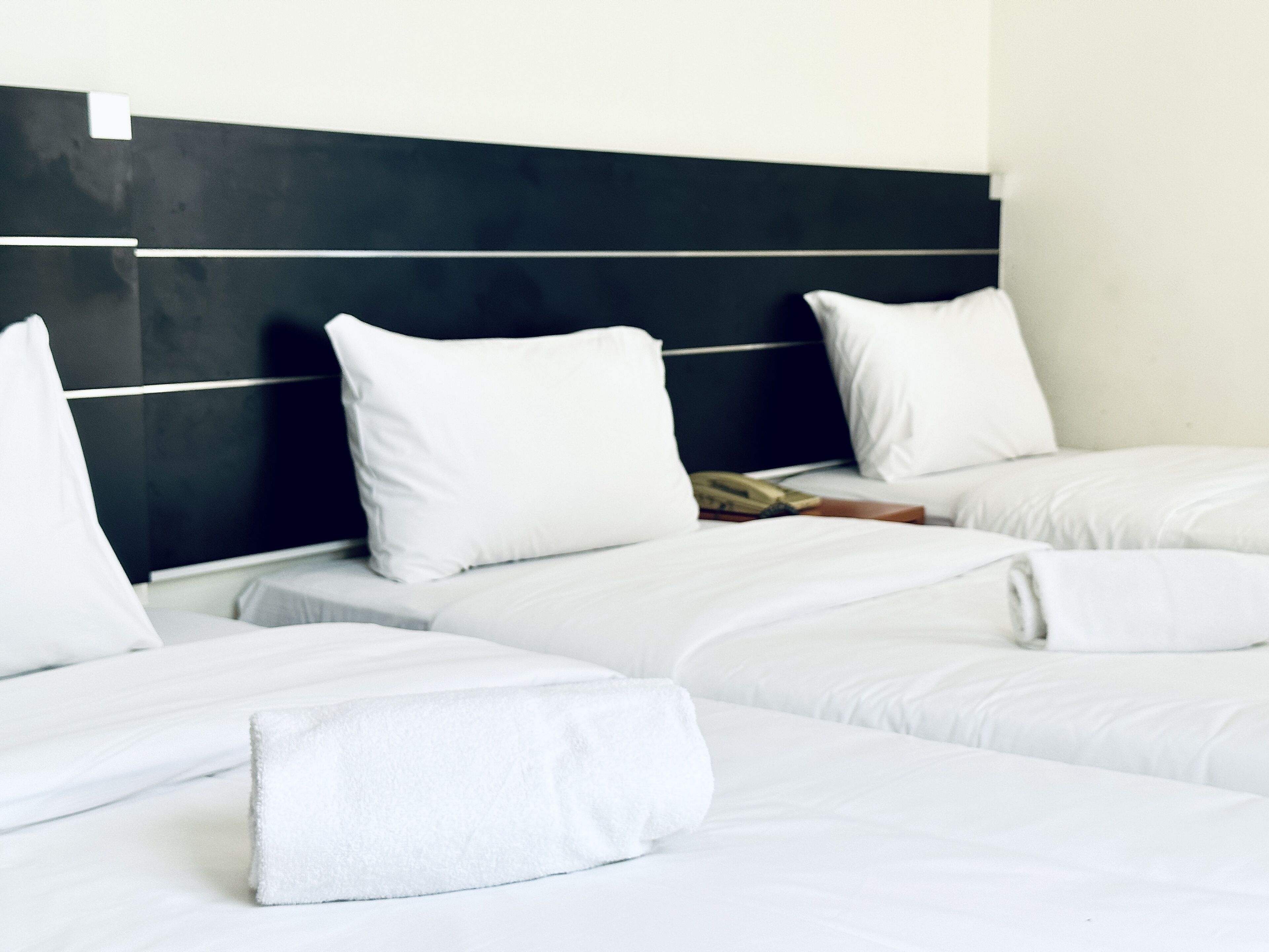 Photo - Asphodel Inn