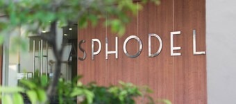 Asphodel Inn Singapore