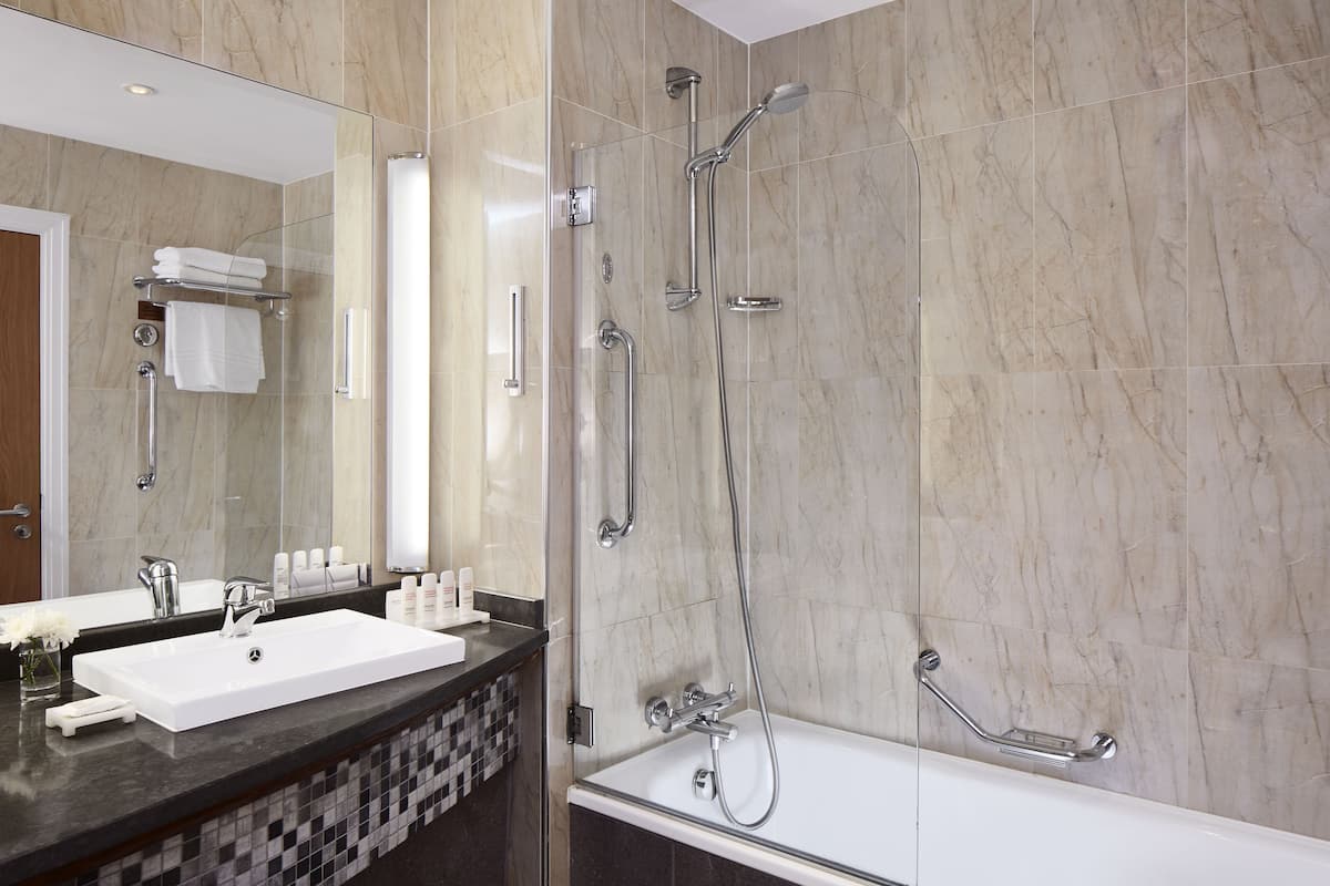 combined shower/bathtub, free toiletries, hair dryer, towels