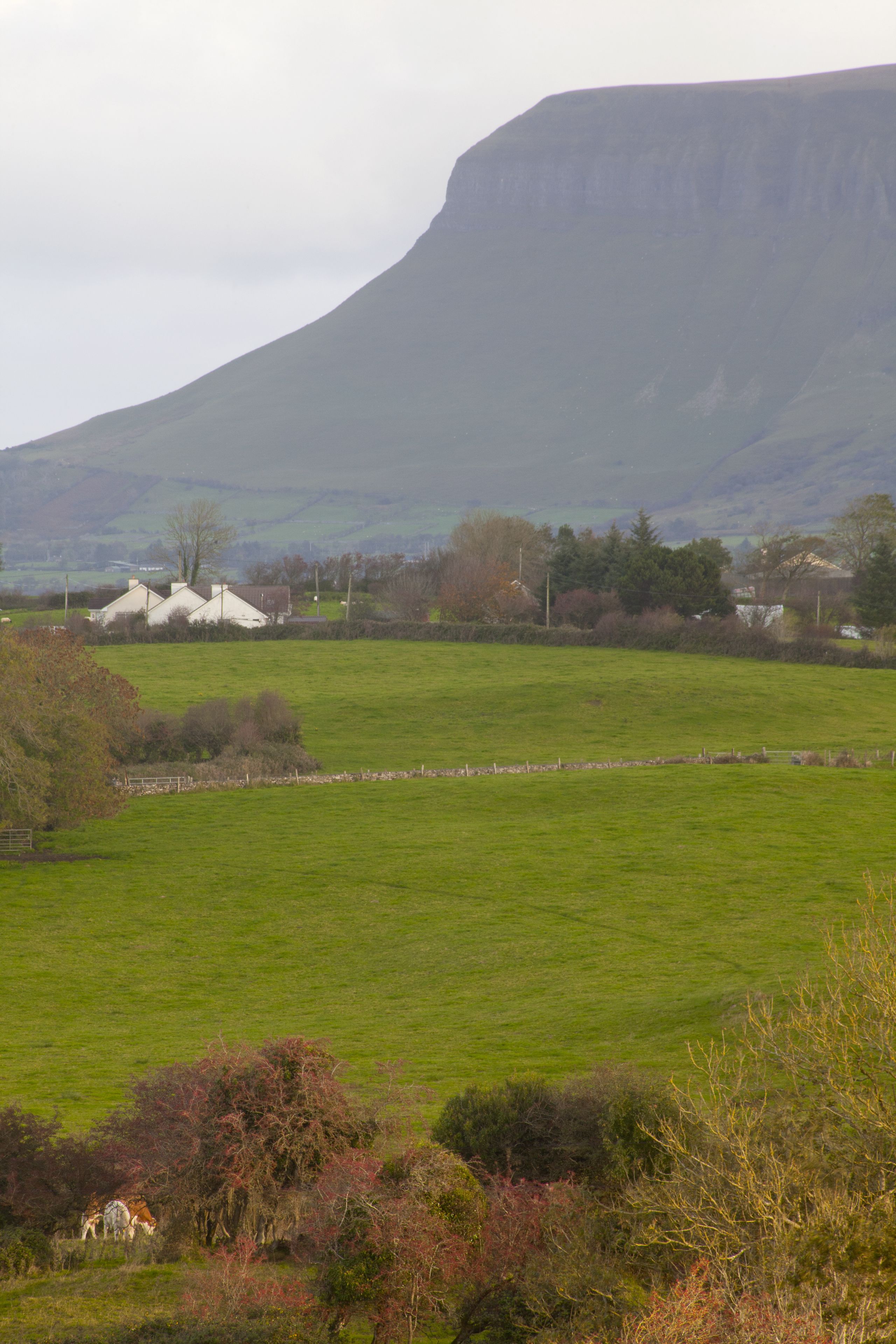A rural landscape with a large green field, a few houses, and a prominent hill or mountain in the background.