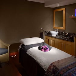 Sauna, steam room, Turkish bath/hammam, body treatments, mud baths