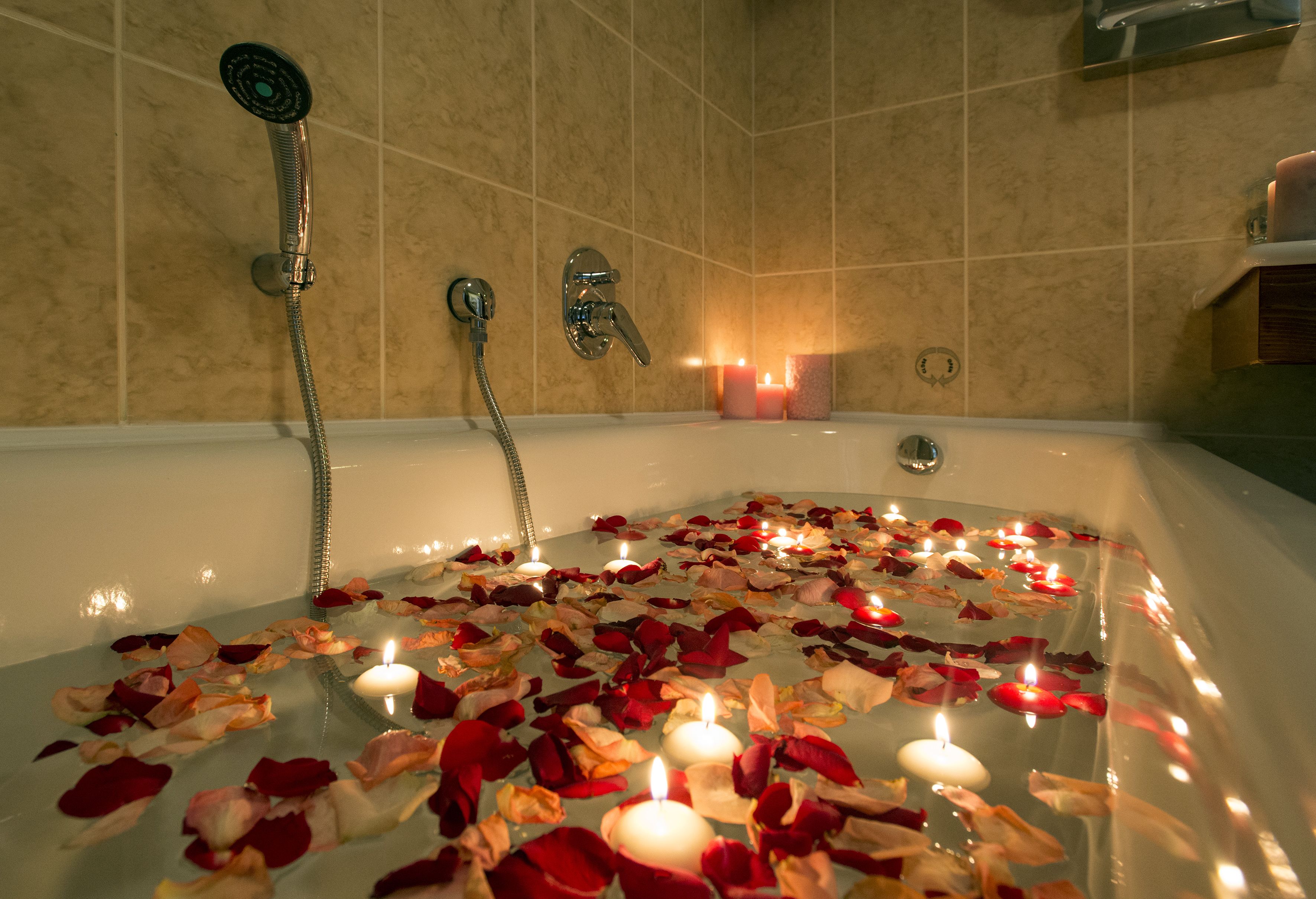 combined shower/bathtub, free toiletries, hair dryer, bidet