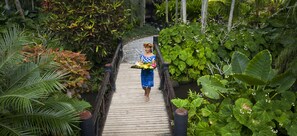 A woman walking on a wooden bridge surrounded by lush greenery.