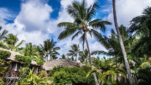Un jardín tropical con palmeras, una estructura de techo de paja y un césped bien cuidado.