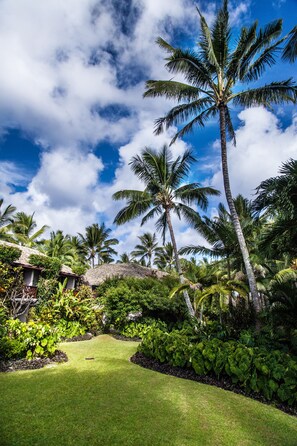 Property grounds - Pacific Resort Rarotonga (Rarotonga)