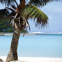 Plage privée, sable blanc, chaises longues, serviettes de plage
