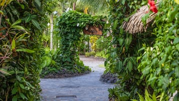 Standard Family Room | Garden view