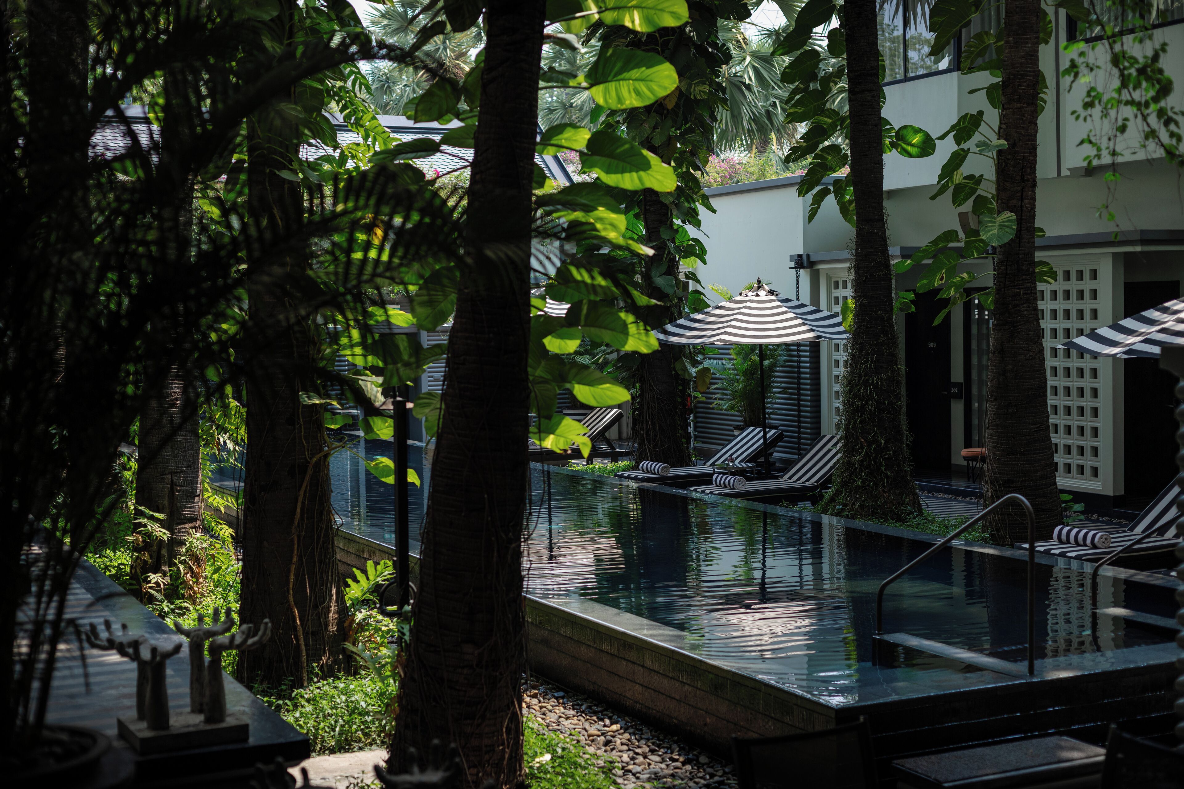 An infinity pool with lounge chairs and umbrellas, surrounded by lush greenery and palm trees.