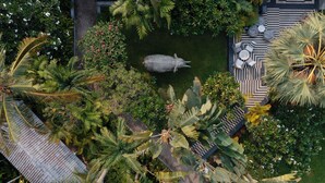 An aerial view of a tropical garden with a water feature, palm trees, and a seating area with a geometric patterned floor.