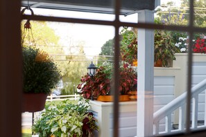 Vista a través de una ventana con varias plantas en macetas y una barandilla blanca.