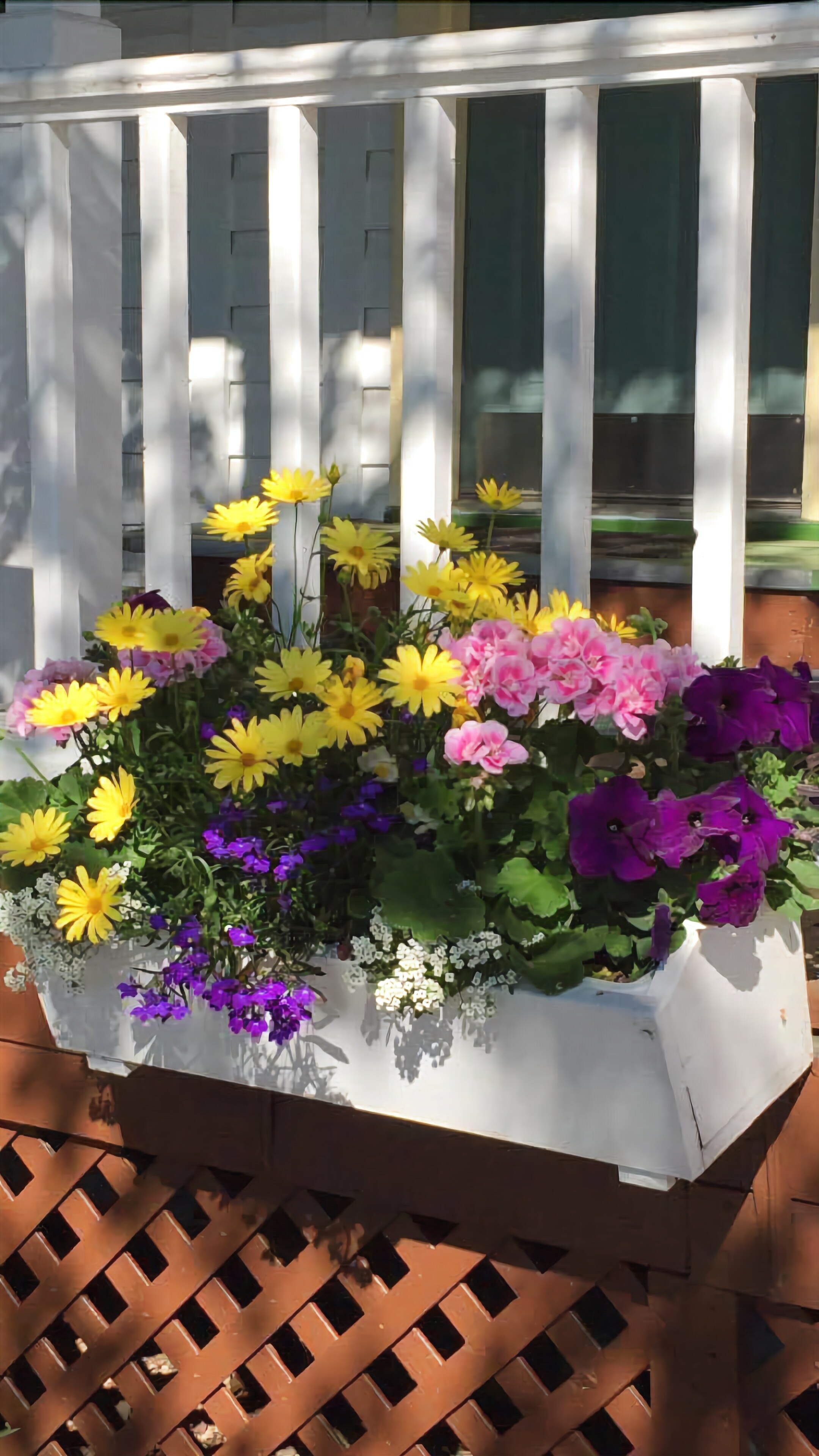 A white planter box with a variety of flowers including yellow, pink, and purple blooms, placed on a wooden deck.
