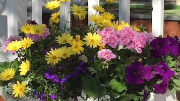 A white planter box with a variety of flowers including yellow, pink, and purple blooms, placed on a wooden deck.