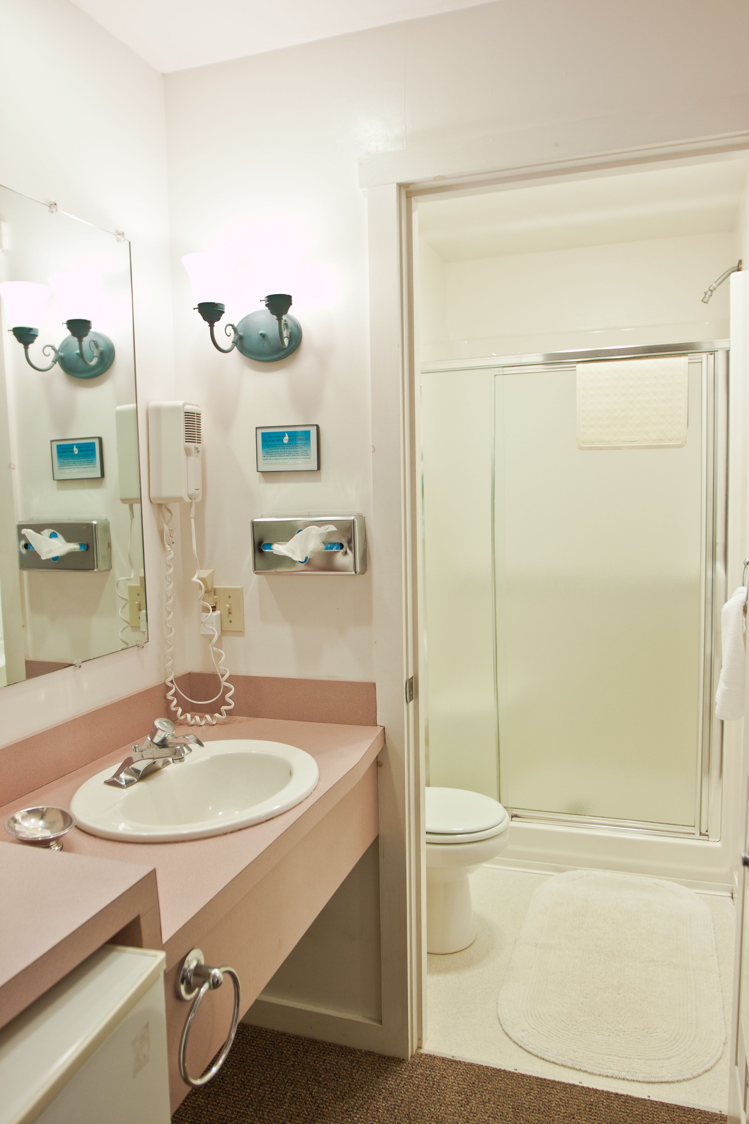 Hair dryer, towels
