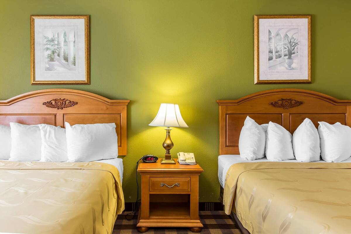 A hotel room with two beds, a nightstand with a lamp, a telephone, and framed pictures on the wall.