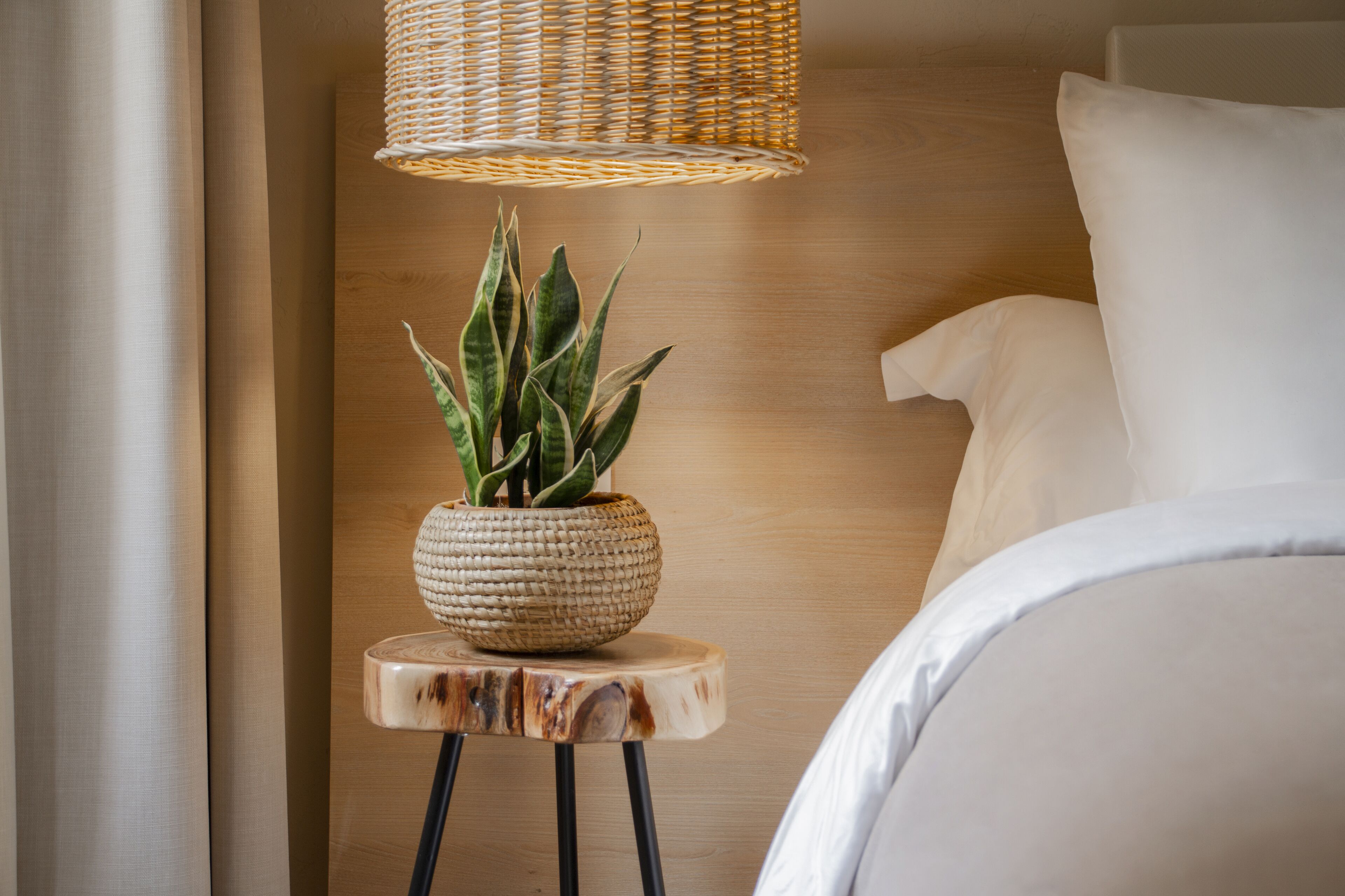Un comodino con una lampada intrecciata, una pianta in vaso e un letto con biancheria da letto bianca.
