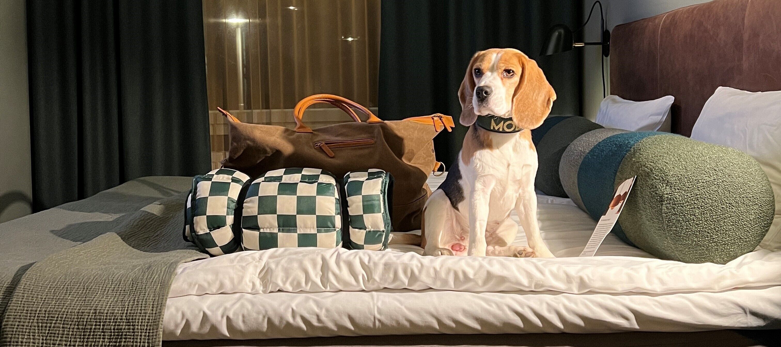 Un letto con un cuscino a quadri, un cuscino verde con texture e un cuscino bianco.