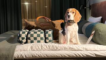 Un letto con un cuscino a quadri, un cuscino verde con texture e un cuscino bianco.