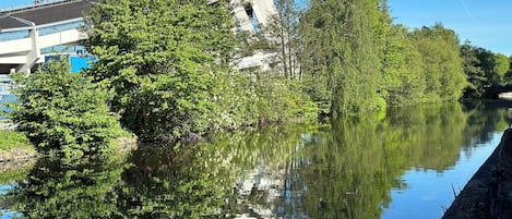 A calm river reflecting trees and a modern building with a unique architecture.