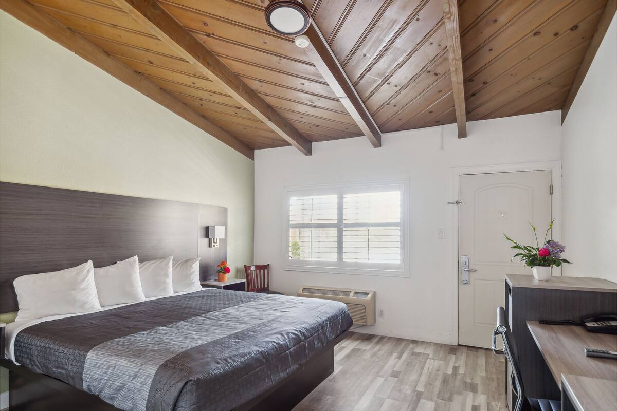 A bedroom with a bed, bedside table, chair, window, and a desk with a plant.