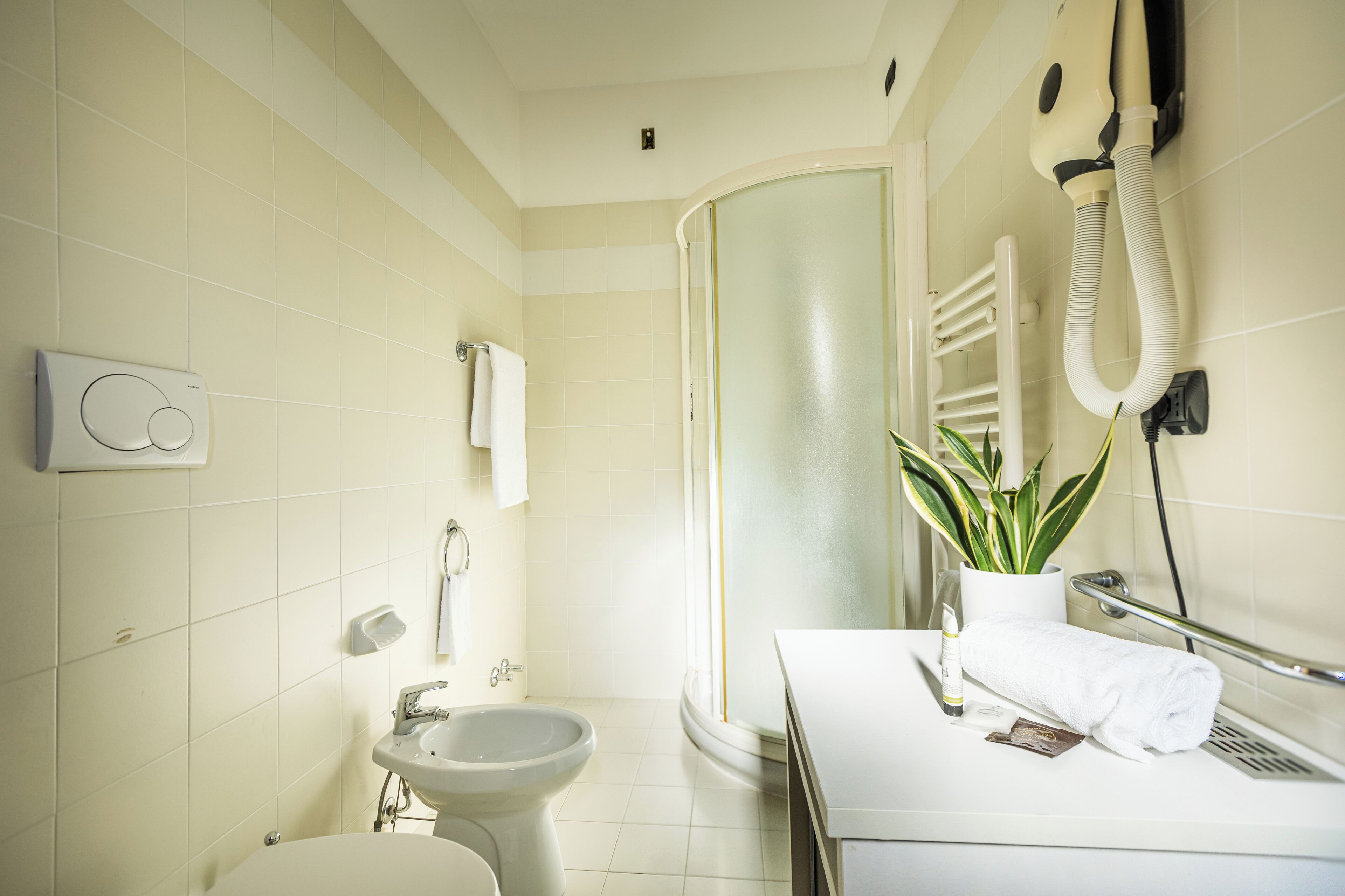 standard single room | bathroom | shower, rainfall showerhead, hair dryer, bidet