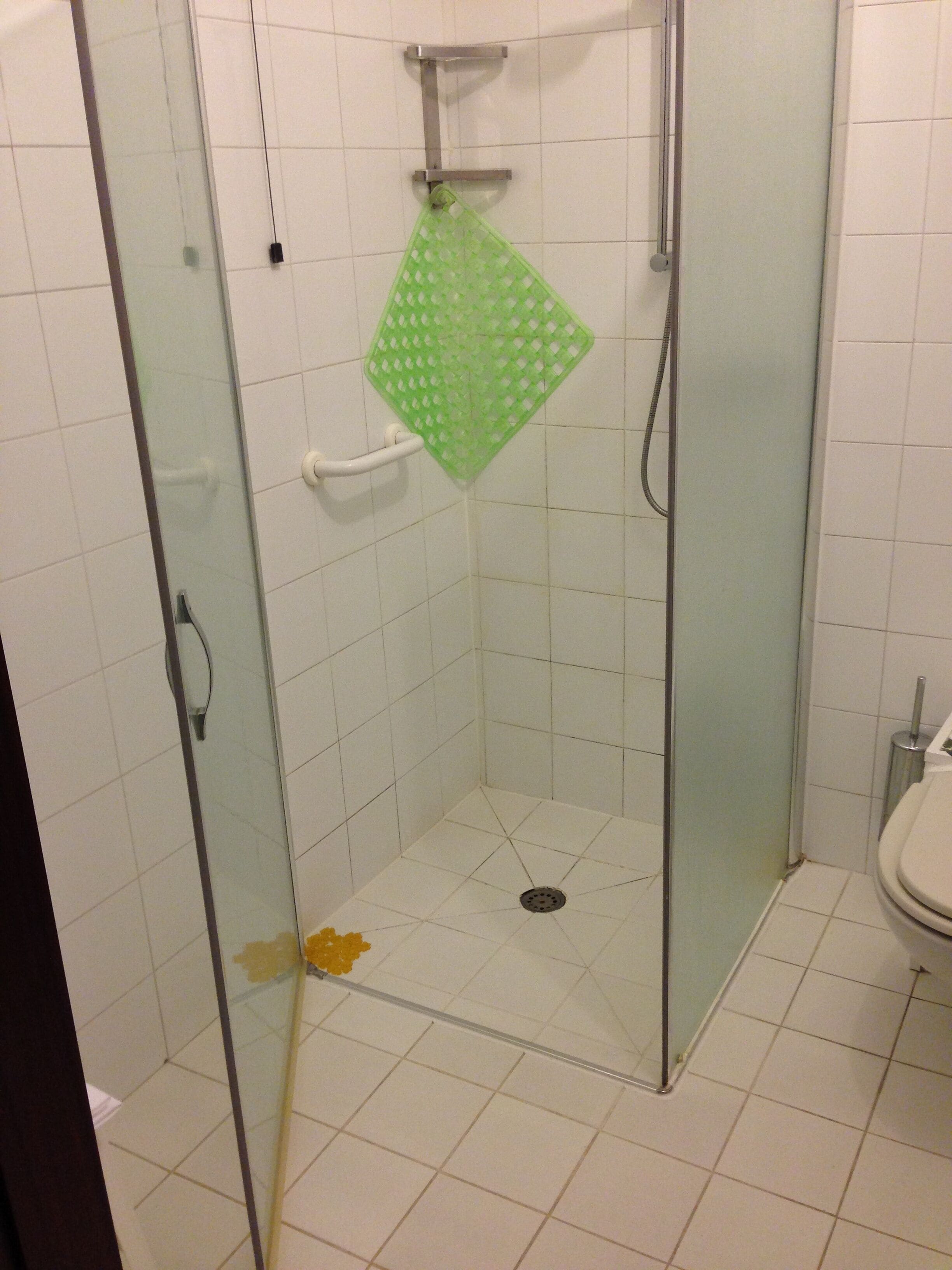 A glass-enclosed shower stall with a green shower mat, a handheld showerhead, and a white toilet in the adjacent bathroom.