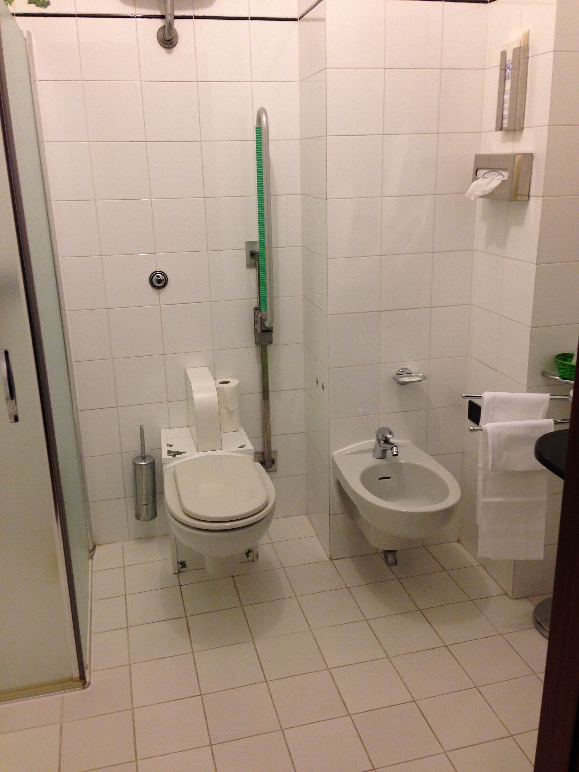 Un baño con inodoro, bidé y ducha con manguera verde.