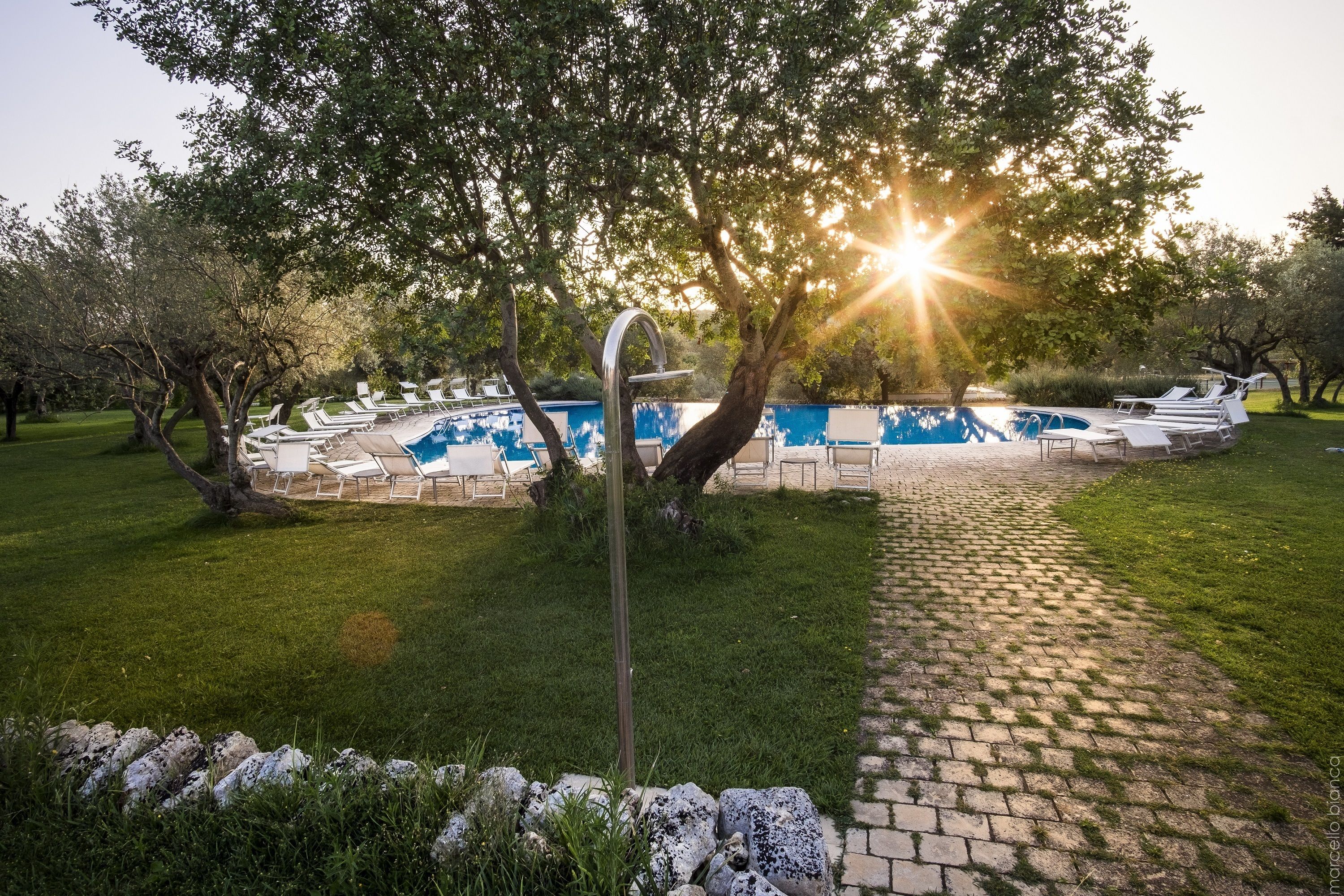 outdoor pool, pool loungers