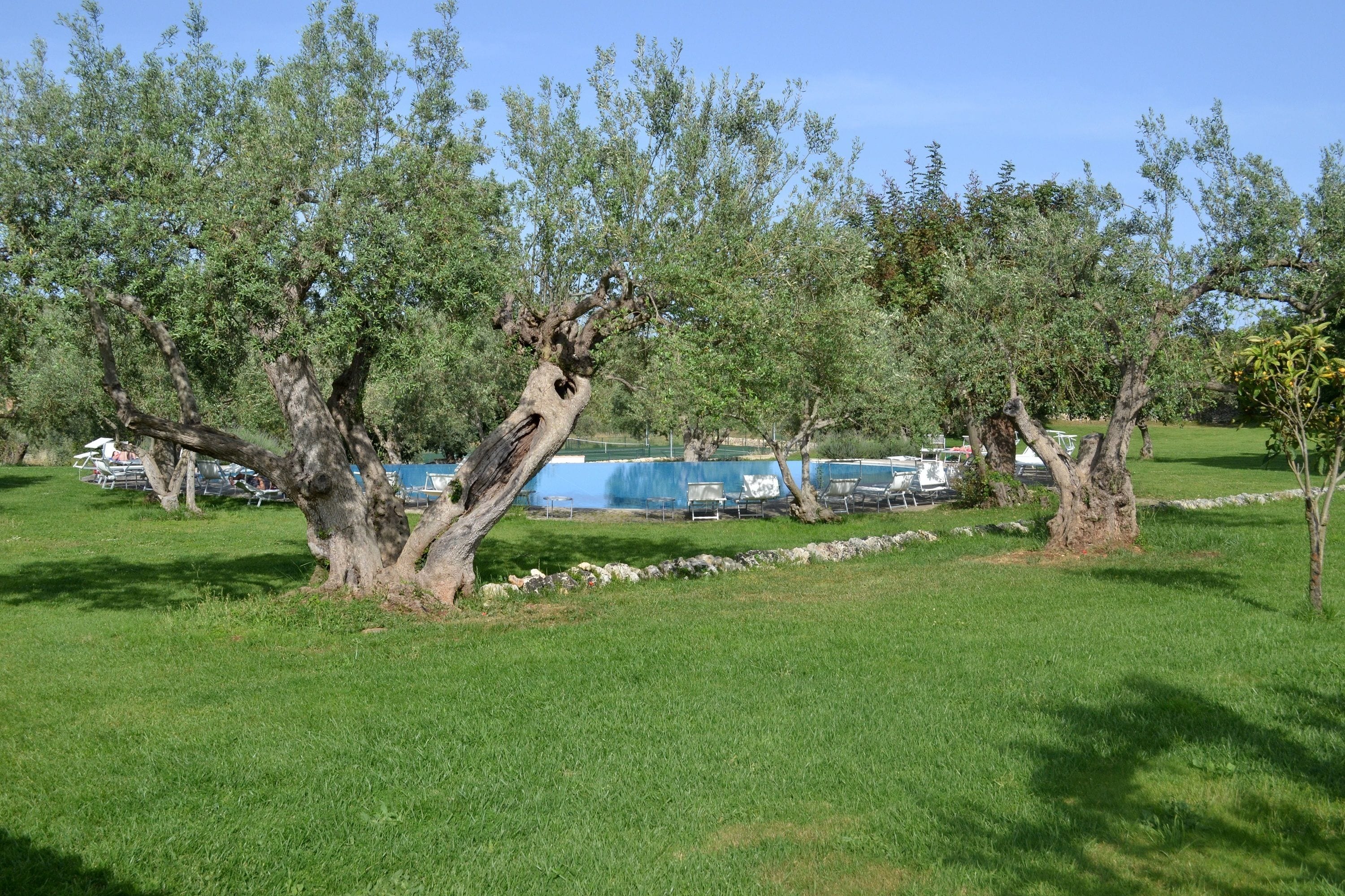 Foto - Masseria Degli Ulivi - Noto