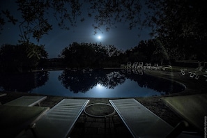 Outdoor pool, pool loungers