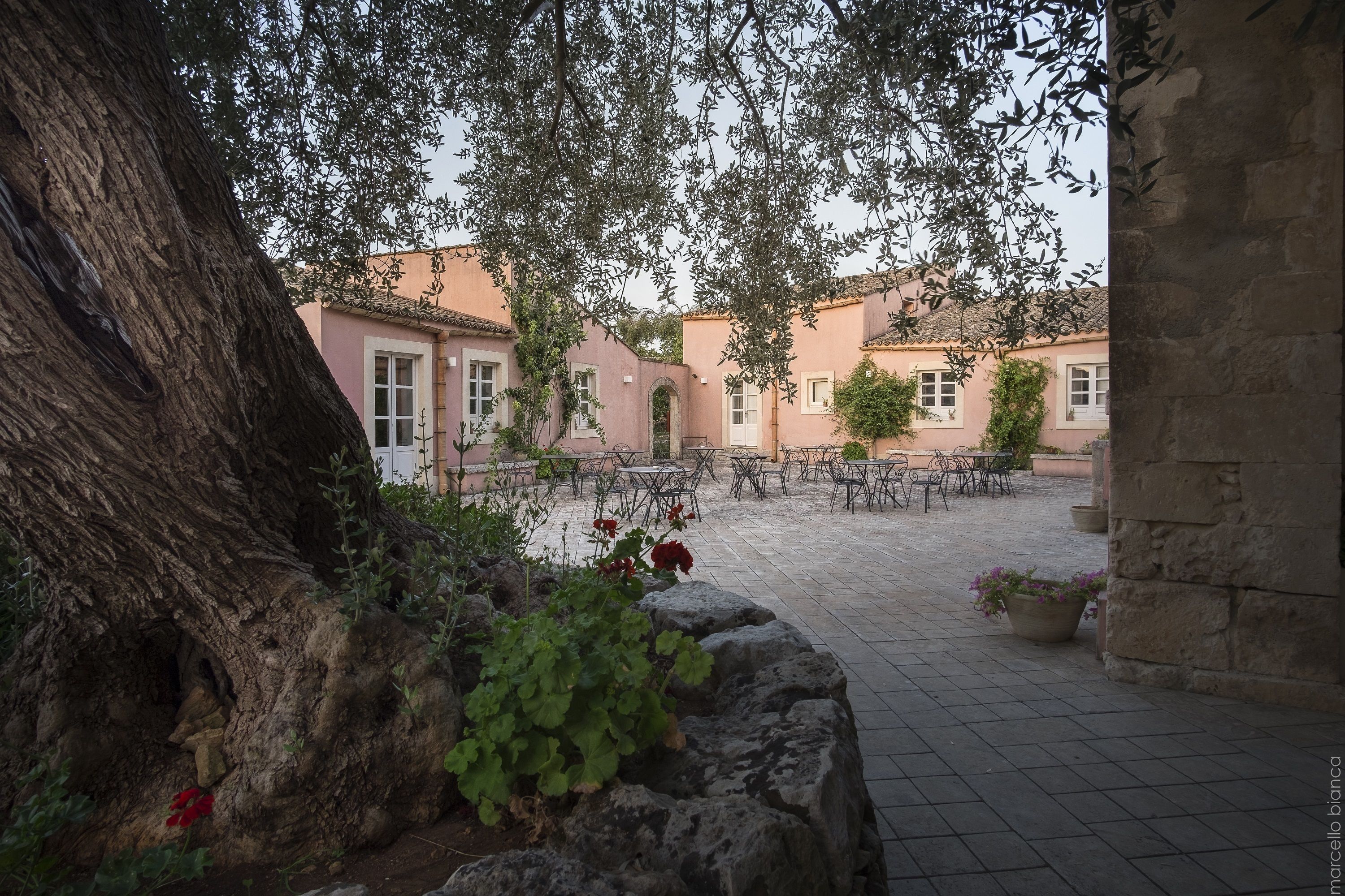 Foto - Masseria Degli Ulivi - Noto