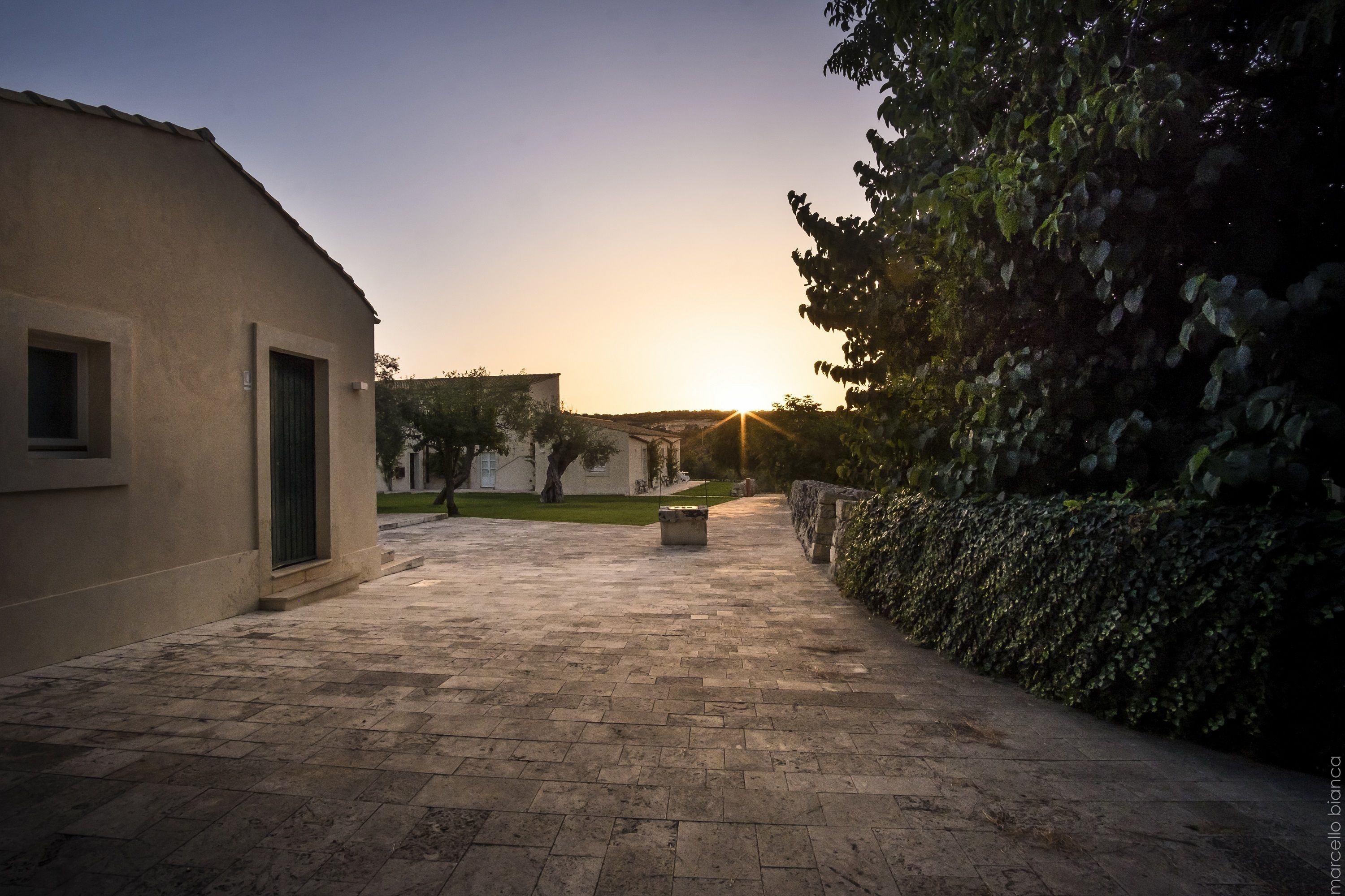 A paved courtyard with a building on one side and a wall covered in ivy on the other.